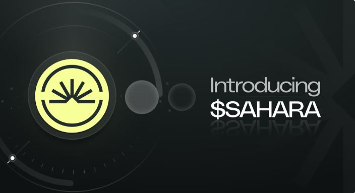 什么是Sahara AI代币(SAHARA)？SAHARA代币分配及解锁时间表介绍