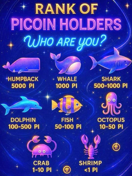Pi持币等级解读：从巨鲸到虾米的分层生态