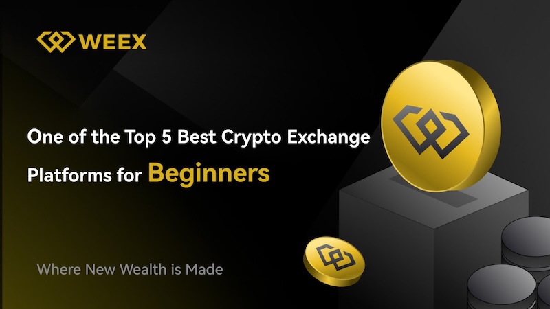 weex交易所app  weex交易所安装入口