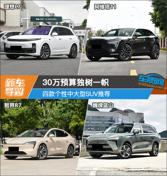 30万预算独树一帜 四款个性中大型SUV推荐