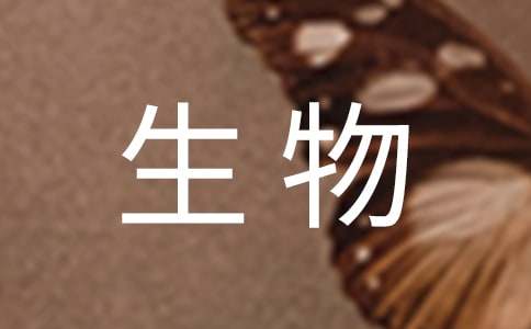 有关八年级生物教案（精选19篇）