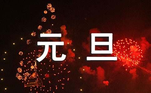 元旦见闻作文（精选24篇）