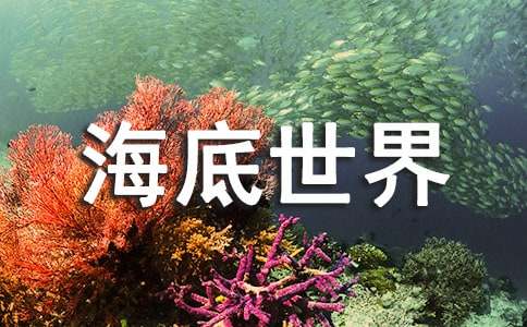 实用的《海底世界》教案11篇