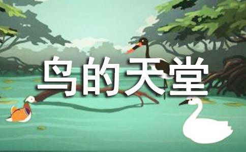 《鸟的天堂》教案（精选20篇）