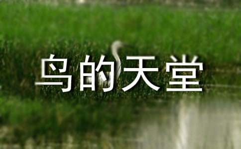 【推荐】四年级上册《鸟的天堂》教案3篇