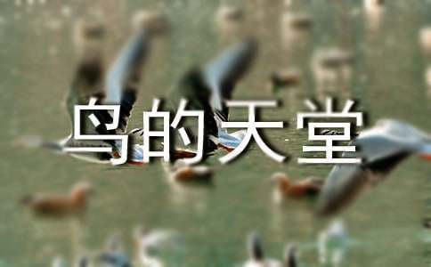 《鸟的天堂》教案