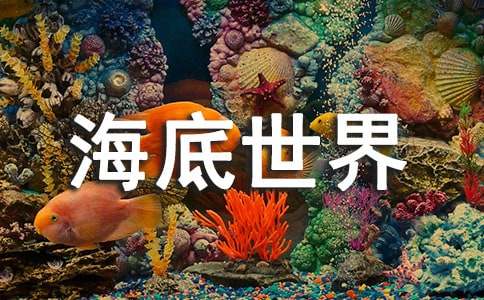 《海底世界》教案(集锦15篇)