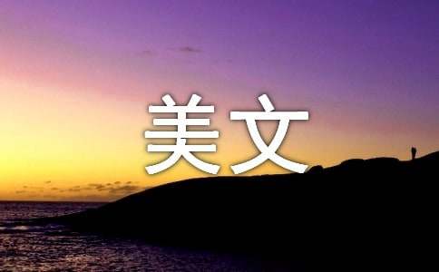 美文的摘抄（通用40篇）
