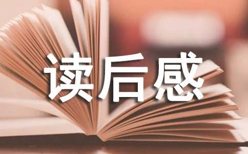 《小战马》读后感