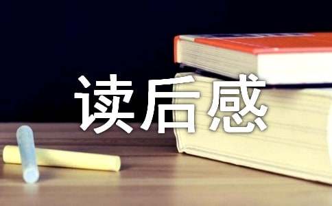 《掩耳盗铃》读后感