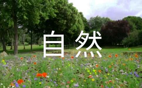 爱大自然的作文（精选70篇）