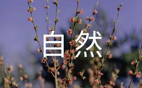 自然现象的作文范文（精选4篇）