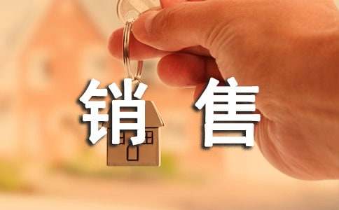 销售分析报告