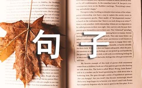 形容一个人的句子