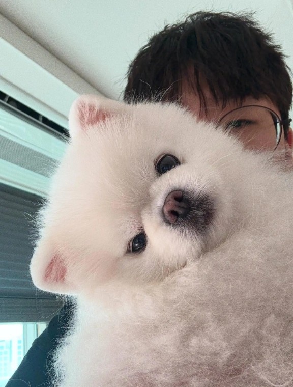 Ruler分享与香奈儿合照，Lehends：小狗后面是灵异照片？