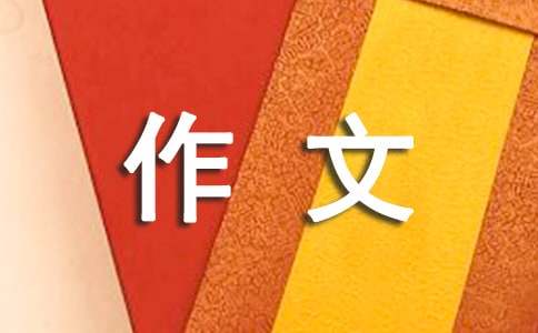 【精选】学琴之路作文500字三篇