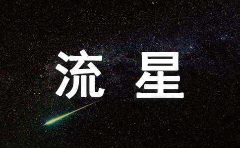 看流星作文300字四篇