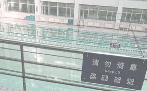 【精选】游泳作文300字8篇