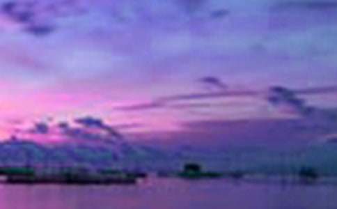 夏夜美景作文300字（精选30篇）