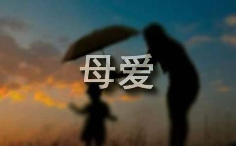 母爱无价作文600字九篇