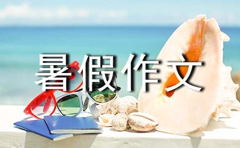 暑假作文600字（精选60篇）