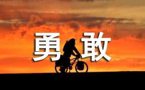 【精选】勇敢的作文600字八篇