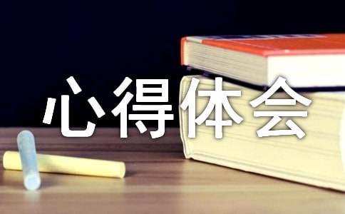 素质拓展心得体会800字（通用10篇）