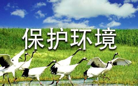 关于保护环境的名言