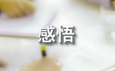 人生感悟文章（精选28篇）