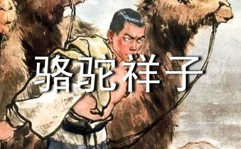 骆驼祥子读后感300字（通用15篇）