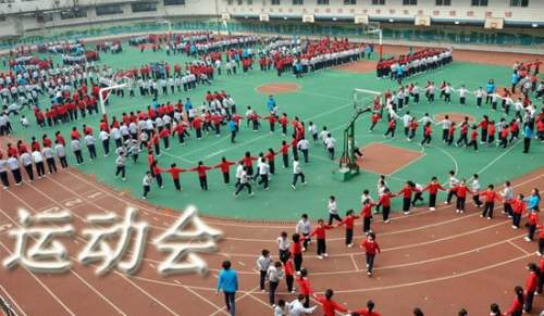 运动会作文200字（精选49篇）