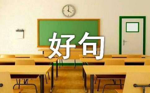 【热门】抒情的好句汇总64句