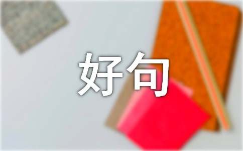 描写腿脚的好句