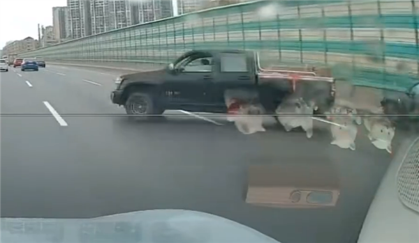 特斯拉Model Y司机神操作：变道后猛打方向盘 连撞两台车