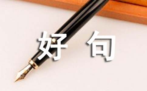 精选抒情的好句39句