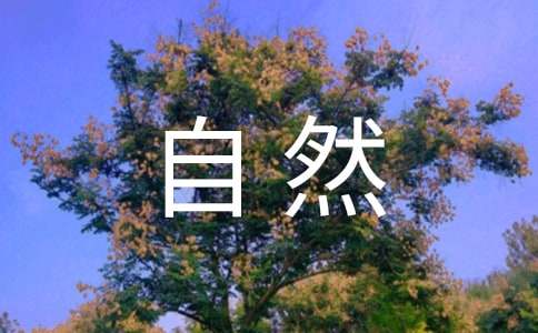 《去打开大自然绿色的课本》教案