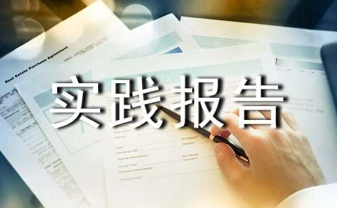 精选社会实践报告模板8篇