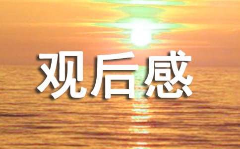 《我是接班人》观后感（精选16篇）