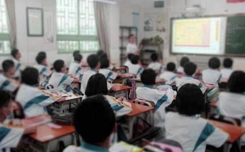 《狗兔守福》个人教学业务总结
