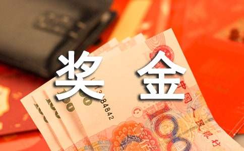 中国通和安格奖金制度