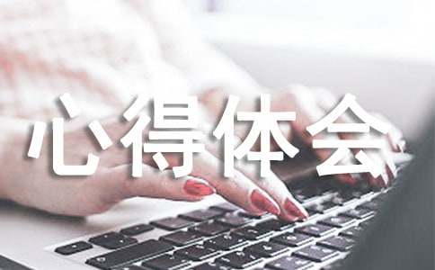 创新心得体会（精选20篇）