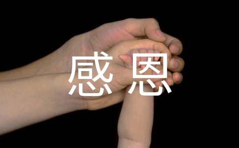 感恩企业珍惜工作心得体会(13篇)