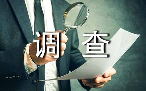 上网的利弊调查报告（通用15篇）