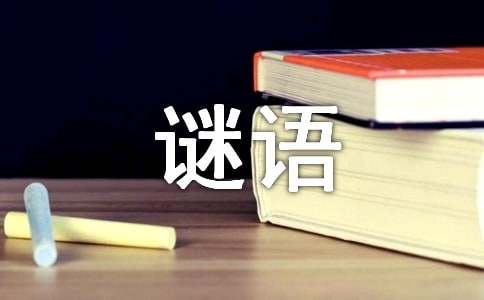 字谜语大全及答案