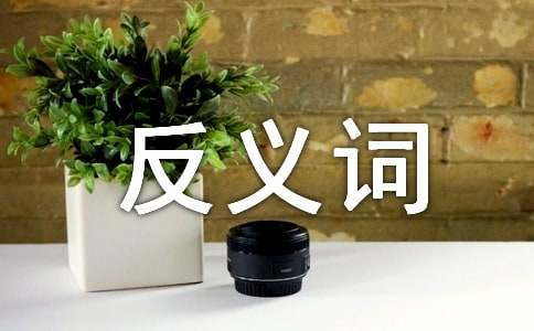 关于故意的反义词