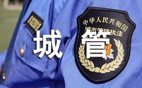 城管年终个人工作总结（精选17篇）