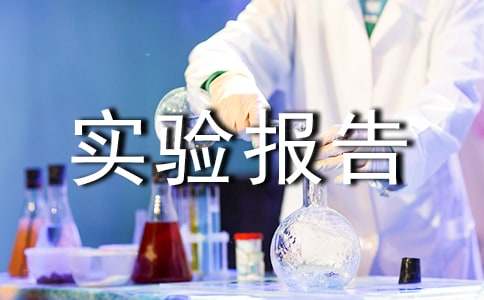 实验报告总结（精选21篇）