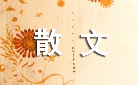 边走边看散文