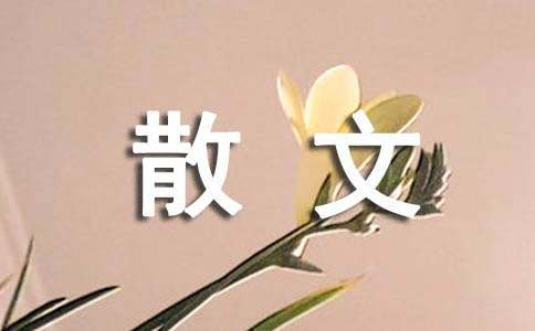 别样的爱散文