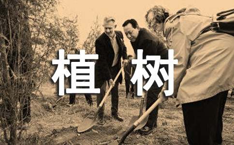 植树造林总结（通用15篇）